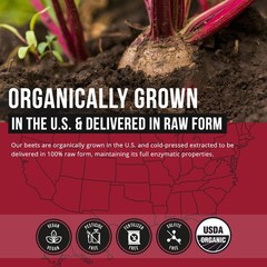 Max Strength Beet Root Juice Powder – 20:1 Concentrate, 60,000 mg Organic, Nitri