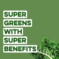 Clean Simple Eats Super Greens Powder Prebiotic 30 servings EXP 05/2026