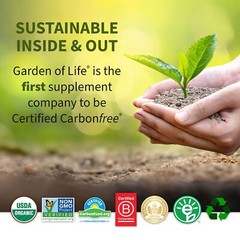 Garden of Life Raw Organic Perfect Food Alkalizer & Detoxifier Juiced Greens …