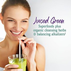 Garden of Life Raw Organic Perfect Food Alkalizer & Detoxifier Juiced Greens …
