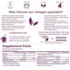 Hydrolyzed I,II,III,V,X Peptide Type Protein Multi Collagen Peptides Powder 2 lb