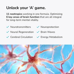 Universal Nootropic Brain Support Capsules 60ct – 2 Pack – Focus & Memory Aid