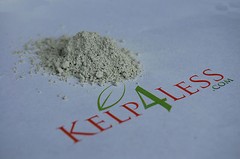 5 lb Zeolite Powder ULTRA FINE POWDER Organic Local Fresh Natural Mineral Dust