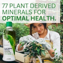 Youngevity Dr. Wallach Plant Derived Minerals – 6-Pack FREE SHIPPING