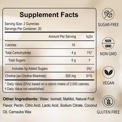 HFELIZ Choline Supplement Gummies Sugar Free, 500mg 60 Count (Pack of 1)