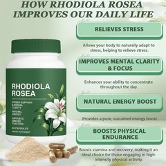 Rhodiola Rosea Capsules Natural Herbaceous Plants Support Energy Balance stress