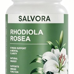 Salvora Rhodiola Rosea Supplement – Golden Root Adaptogen Capsules 60pcs