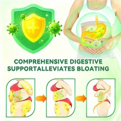 Pureluxo Moringa Berberine NAD+ Weight Loss Patches Advanced Nano Microneedle