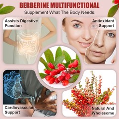 Premium Berberine HCL 1200mg Capsules -Cardiovascular Health Blood Sugar Support