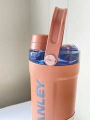 Toast Stanley 20 fl oz Stainless Steel Activate Shaker Bottle
