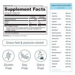Multi Collagen Protein Powder – Unflavored – 20 Servings