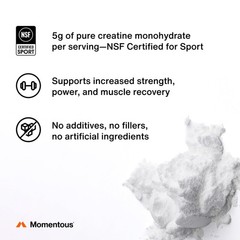 Creatine Monohydrate Powder – Supports Strength, Lean Muscle & Recovery – 90 Ser