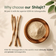 Root Labs 10-in-1 Alpha Shilajit Gummies – 4000mg with KSM-66 Ashwagandha 60ct