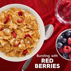 Kellogg’s Special K Red Berries Breakfast Cereal, Good 19.2 Ounce (Pack of 1)
