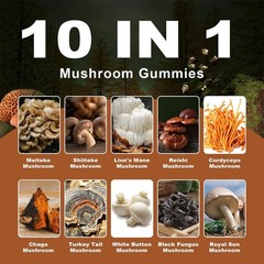 Vegan Mushroom Gummies, Lions Mane Ashwagandha Shiit for Focus & Immunity