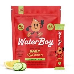Waterboy Daily Hydration | 1,570mg Electrolyte Powder 1.6 Ounce (Pack of 1)