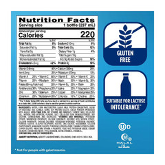 Ensure Original Nutrition Shake, 9g Protein, Milk Chocolate, 8 fl oz – 6 Pack
