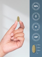 Multivitamin for Men and Women Over 50 | 120 Vegan Caplets | by Horbäach