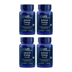 Lot of 4 Life Extension Adrenal Energy Formula Stamina 120 Vegetarian Capsules
