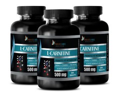 Detour Protein – L-CARNITINE 510MG – Muscle Building – Endurance – 3 Bottles