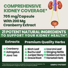 Kidney Support Supplement, Kidney Cleanse Detox & Repair Formula with 21 Herbs