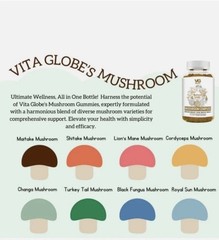 Mushroom Complex Gummies – Vita Globe Supports Focus and Memory – 14ct Bag