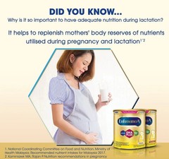 ENFAMAMA A+ 800g Vanilla Flavor For Maternal & Lactating Milk