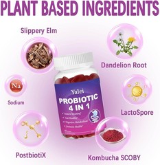 Probiotic Kombucha Gummies | Sugar Free | Probiotics Fiber Supplement for Unisex