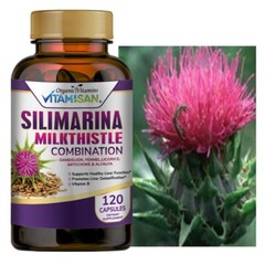 Milk Thistle (Silymarin) Extract 1200 mg liver cleanser liver detox cardio 120 c