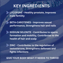 bHIP Essential Man Powder – Men’s Daily Nutrition Blend • Lifestyle Powder