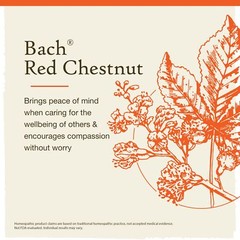 Bach Red Chestnut Flower Essence 0.7 Fl Oz Peace of Mind Homeopathic Remedy