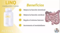 NEW ACTIVZ EPIGENETIC TRIFECTA 3 bottles set 1 LINQ + 1 GNMX + 1 OPTIMEND