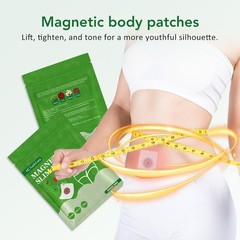 10-IN-1 Advanced Nano Microneedle Body Slimming & Skin Tightening Firming Patch