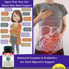 Suplementos de enzimas digestivas | Mejora Suplemento ENVIO GRATIS