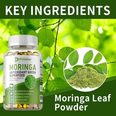 Moringa – Antioxidant, Immune Booster, Energy & Metabolism, Digestive Support