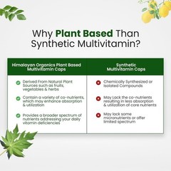 Himalayan Organics Plant Based Multivitamin 60+ Ingredients – Vitamin B1 – 60Cap