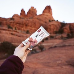 GoMacro MacroBar Vegan Protein Bars Maple Sea Salt 12 Ct