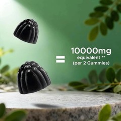 NEW Vitamatic Sugar Free Moringa Gummies – 10,000 mg 60 Count (Pack of 1)