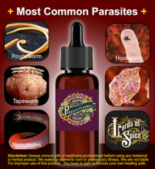 Parasite cleanse detox – Safe Potent Fast – Herbal Blend – Liquid Drops – USA