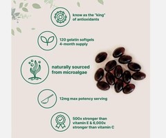 NEW Astaxanthin 12mg from Natural Microalgae For Skin Glow & Antioxidant Support