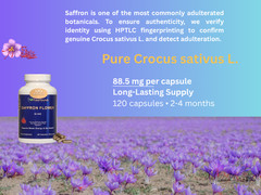 4 Bottles Authentic Saffron Extract for Mood & Focus – Large Size (480 Capsules)