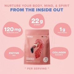Fitmingo Vegan Protein Powder with Inositol, 3 Blends, Mocha, 45 Servings, 3.3Lb