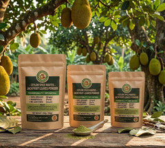 Organic Jackfruit Leaf Powder 250g – 100% Natural Herbal Supplement – Sri Lanka