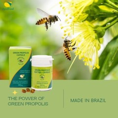 ApisBrasil – Brazilian Green Bee Propolis Capsule – 900mg/ Daily Per 3 Softgels