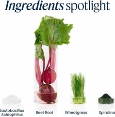 Green Vibrance Superfood Powder 15 Servings 25 Billion Probiotics Vibrant Health