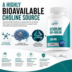 Leaping Lynx Citicoline 1000 mg (CDP Choline) Capsules 120 Count (Pack of 1)