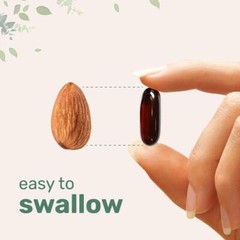 Pumpkin Seed Oil Saw Palmetto 3000 mg Per Serving -Bladder & Prostate Health