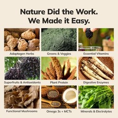 Chocolate Ka’Chava Whole Body Meal Replacement – 25g Plant Protein & Probiotics