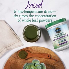 Garden of Life Raw Organic Perfect Food Alkalizer & Detoxifier Juiced Greens …