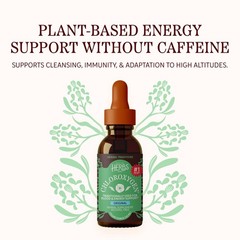 Chlorophyll Concentrate Liquid Drops – Alcohol Free, Detox, Skin & Gut Support –